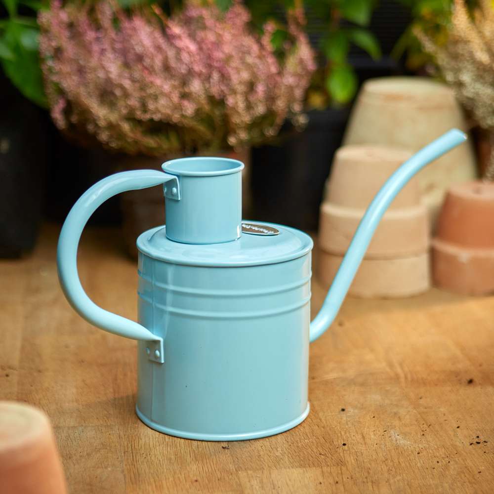 Indendørs vandkande - Blue Sky 1 L